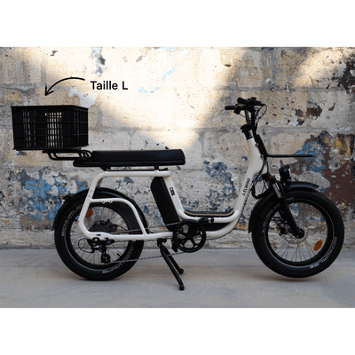 Caisse Basil MIK - Taille S ou L - ElwingS