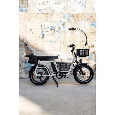 Caisse Basil MIK - Taille S ou L - ElwingS