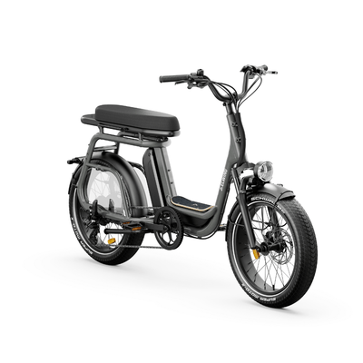 Ritmic Duo - vélo électrique cargo biplace - ElwingStandardGris charbon 