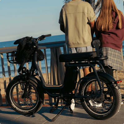 Ritmic Duo - vélo électrique cargo biplace - ElwingStandardGris charbon 